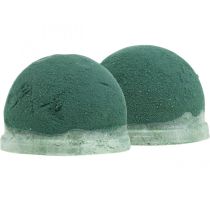 kategori Oasis kulor