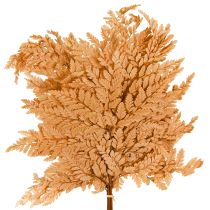 kategori Trädgrenar, stavar och grenar