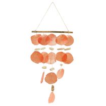 kategori Snäckskal dekoration