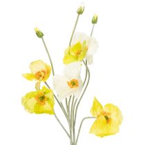 kategori Trädgårdsblomma & ängblomma