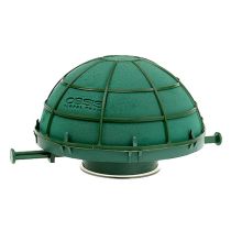 kategori Oasis kulor