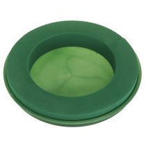 kategori Oasis ring & krans