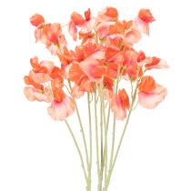 kategori Trädgårdsblomma & ängblomma