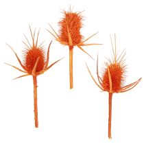 kategori Trädgrenar, stavar och grenar