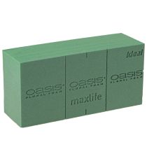 kategori Oasis block