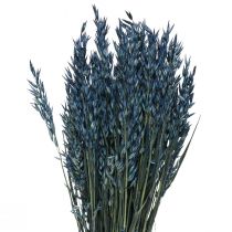 Torkade blommor, havre torkad korn dekoration blå 68cm 230g
