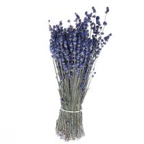 Artikel Torkad lavendel knippe torkade blommor Blå 25cm 75g