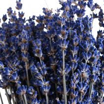Artikel Torkad lavendel knippe torkade blommor Blå 25cm 75g