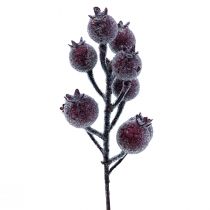 Nypongren bärgren frost konstväxt röd 25cm 12st