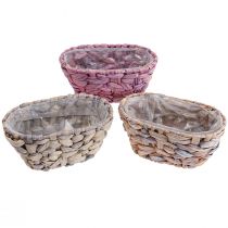 Artikel Växtkorg sjögräskorg vattenhyacint plantering oval 20,5cm 3 st