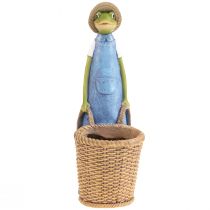 Artikel Frog deco planter polyresin bordsdekoration sommar H31,5cm