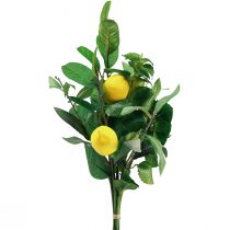 Artikel Dekorativa grenar Medelhavet dekorativa citroner konstgjorda 50cm