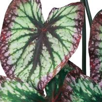 Artikel Begonia Konstgjorda växter Blad Begonia Grön Lila 62cm