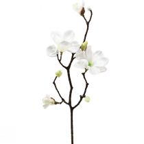 Konstgjord blomma magnolia gren magnolia konstgjord vit 58cm
