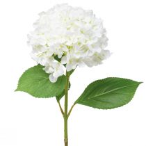 Artikel Dekorativ hortensia konstgjord vit snöbollshortensia 65cm