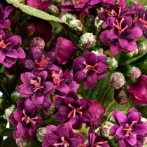 Artikel Flaming Käthchen Kalanchoe konstlila 24cm