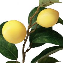 Artikel Dekorativ citrongren med 6 konstgjorda citroner 100cm