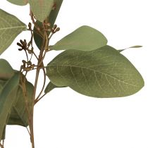 Artikel Eukalyptusgren konstgjord dekorativ gren grön 60cm