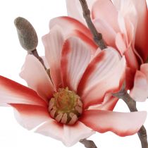 Artikel Magnolia gren med 6 blommor konstgjord magnolia lax 84cm