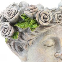 Artikel Blomkruka ansikte kvinnors byst växthuvud betong utseende H18cm
