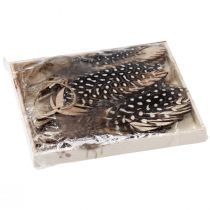 Artikel Dekorativt fjäderhänge trä naturlig fjäder 9,5/10cm 9 st