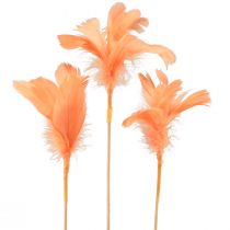 Artikel Dekorativa fjädrar orange fågelfjädrar på pinne 36cm 12st