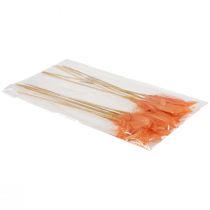 Artikel Dekorativa fjädrar orange fågelfjädrar på pinne 36cm 12 st