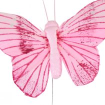 Artikel Dekorativa fjärilar på tråd färgglada fjädrar 5,5×8cm 12st