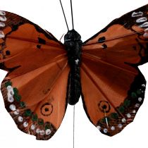 Artikel Dekorativa fjärilar på trådfjädrar grön rosa orange 6,5×10cm 12st
