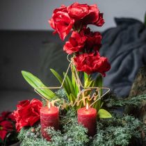 Konstgjord amaryllisröd 3 sidenblommor på mossakulor H64cm