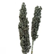 Artikel Torkade blommor sorghum hirs blågrön torr blomstring 72cm 3 st