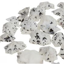 Skal Deco Skal Vit Svart Liten 1-2,5cm 250g