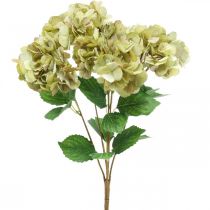 Artikel Hortensia bukett konstgrön, brun 5 blommor 48cm