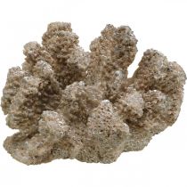 Maritim dekoration, havsdjur, dekoration korall polyresin 13,5x11,5cm