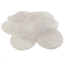 Capiz skal pärlemorskivor maritim dekoration Ø7cm 600g