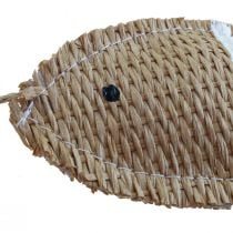 Hängande dekoration deco fisk att hänga maritim dekoration randig 14,5×6cm
