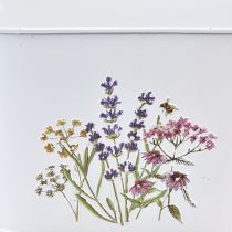 Artikel Blomskål gjord av växtskål i metall 27×16×15,5cm
