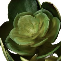 Artikel Konstgjord suckulent Echeveria konstväxt grön Ø7cm