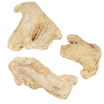 Artikel Torkad ingefära dekoration naturlig dekoration 500g