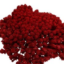 Artikel Achillea 1 kg vinrött