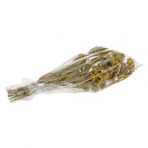 Artikel Achillea 500g naturlig