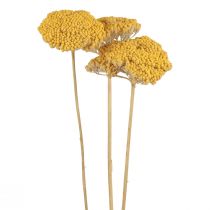 Artikel Yarrow torkade blommor Achillea millefolium 30g x 2st