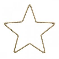 Adventsdekoration, juldekorationsstjärna, dekorativ stjärnjute B24,5cm 5st