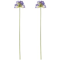 Artikel Agapanthus afrikansk lilja Konstgjorda blommor Lila L75cm 2st