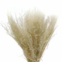 Torrt gräs Agrostis blekt 40g