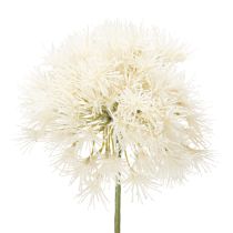 Artikel Konstgjord blomma Allium, elegant design för inomhusbruk, 68 cm