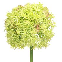 Artikel Allium grön blomma konstgjord prydnadslök Ø18cm 90cm