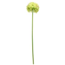 Artikel Allium grön blomma konstgjord prydnadslök Ø18cm 90cm