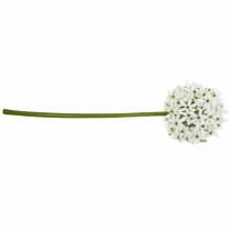 Artikel Dekorativ blomma Allium, konstgjord kul purjolök, prydnadslök vit Ø20cm L72cm