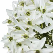 Artikel Dekorativ blomma Allium, konstgjord kul purjolök, prydnadslök vit Ø20cm L72cm